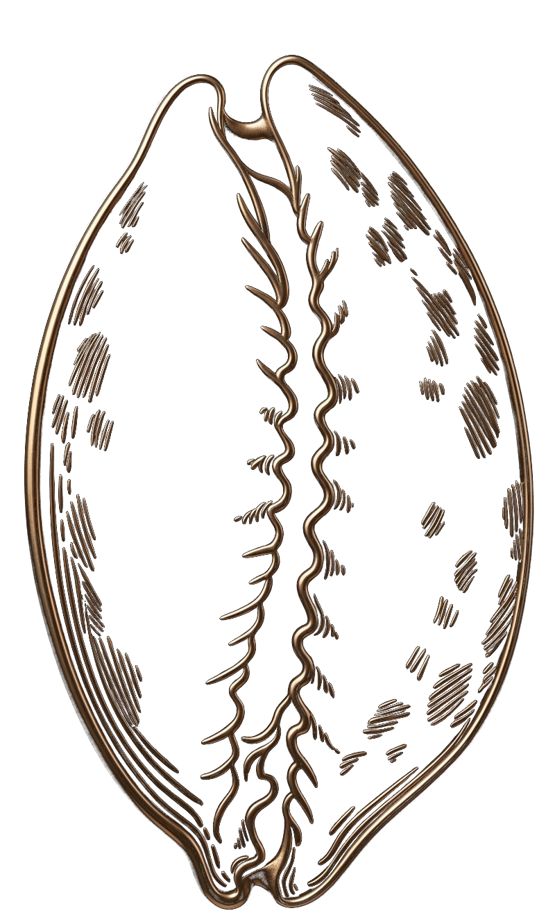 iSmart Bronze Cowrie